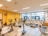 Fysiotherapie.